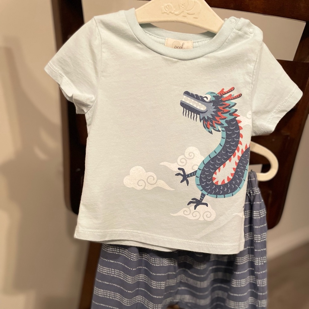 Peek T-shirt with pant set